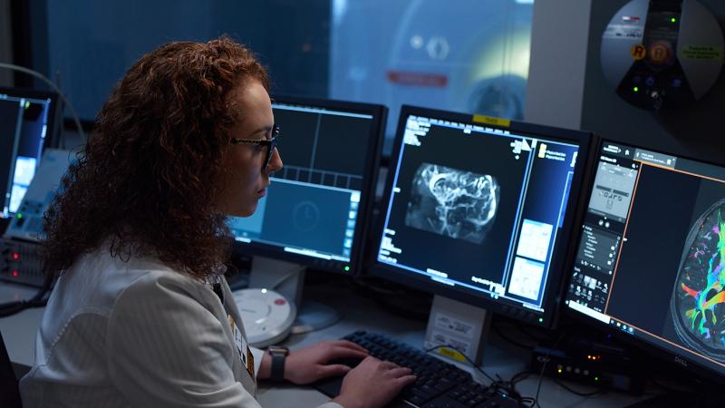 A medical professional looking at a scan on a computer.